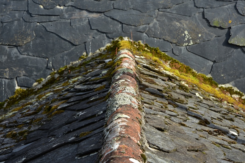 Mossbortagning – förläng takets livslängd och bevara dess skönhet